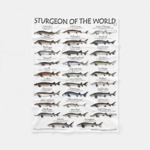BLANKET -STURGEON OF THE WORLD POSTER -FIRST EVER 