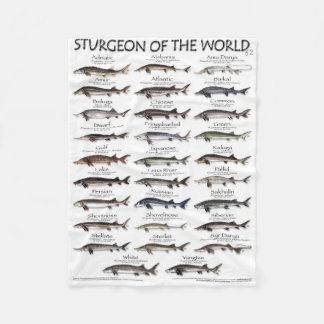 BLANKET -STURGEON OF THE WORLD POSTER -FIRST EVER 