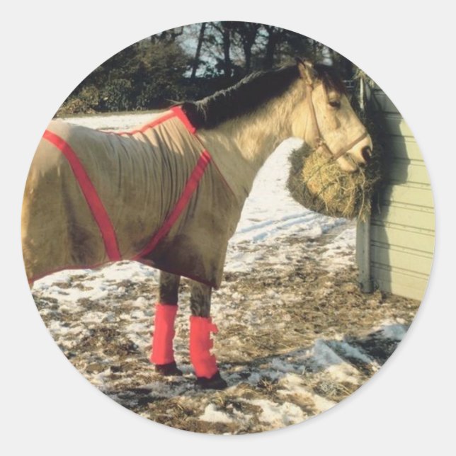 Blanketed Horse in Winter Classic Round Sticker (Front)