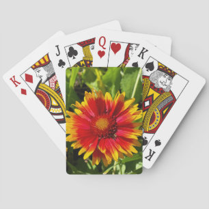 Blanketflower Classic Playing Cards