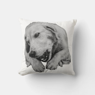 Blankets, Chews And Evening Lights Cushion