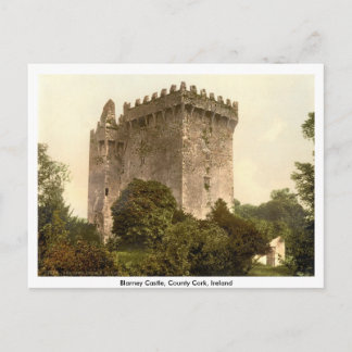 Blarney Castle, Co. Cork, Munster, Ireland Postcard