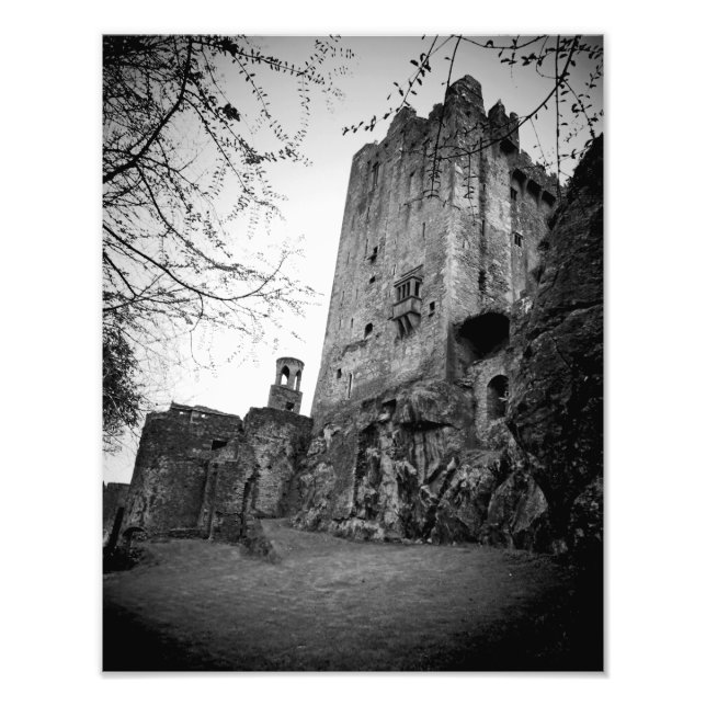 Blarney Castle Photo Print (Front)