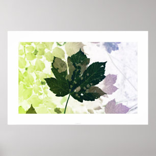 Blatt Poster