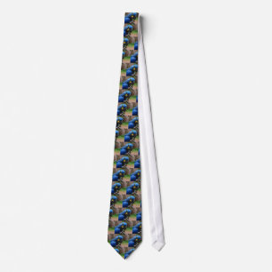 blauaras parrot tie