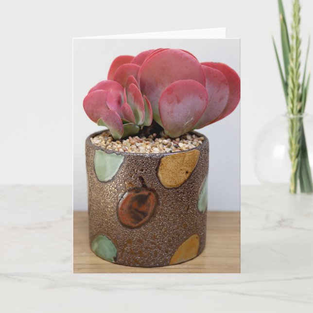 Blaze of Red-Orange Notecard - Succulent Designs (Front)