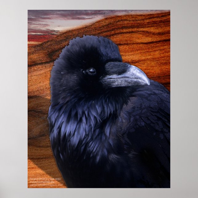 Blazen Raven Poster (Front)