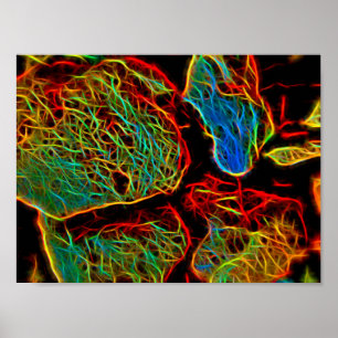 Blazing Neon Painted Pebbles Poster