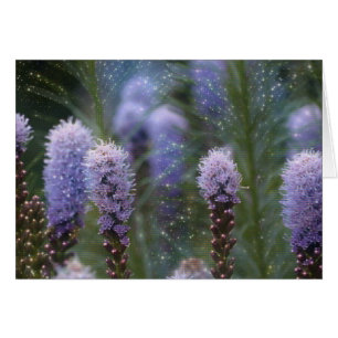Blazing Star Flower