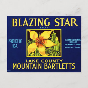Blazing Star Pears Postcard