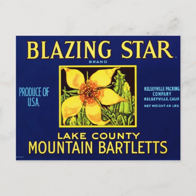 Blazing Star Pears Postcard (Front)