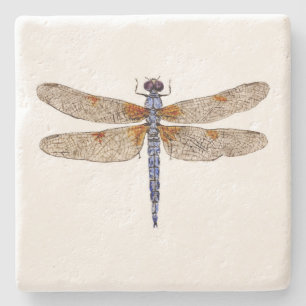 Bleached Skimmer Dragonfly Coaster
