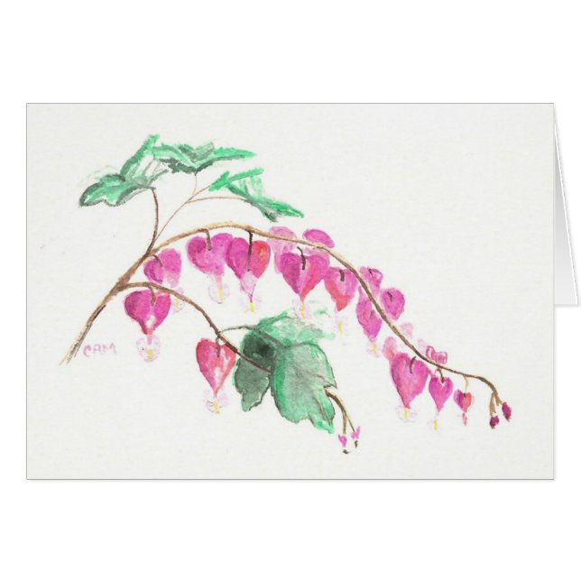 Bleeding Heart (Front Horizontal)