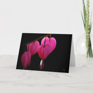 Bleeding Heart Blank Greeting Cards