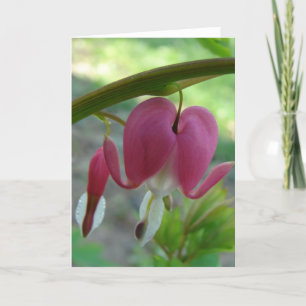 Bleeding Heart Card