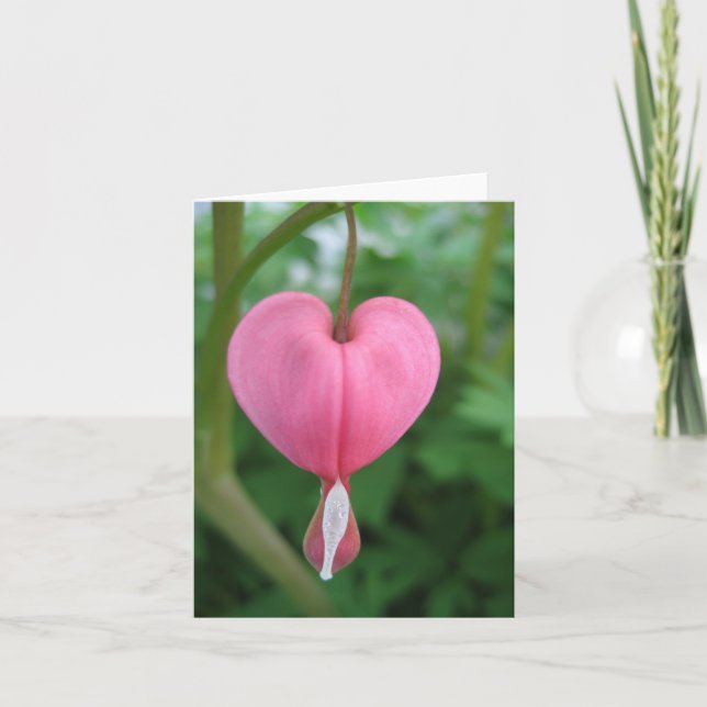 Bleeding Heart Card (Front)
