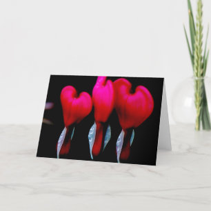 Bleeding Heart Card