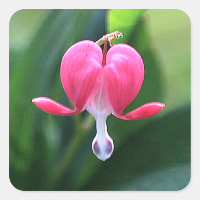 Bleeding Heart Flower Wedding Invitation Seals (Front)