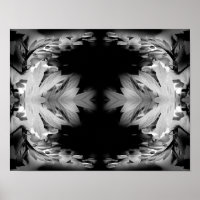 Bleeding Heart Flowers In Black And White Abstract