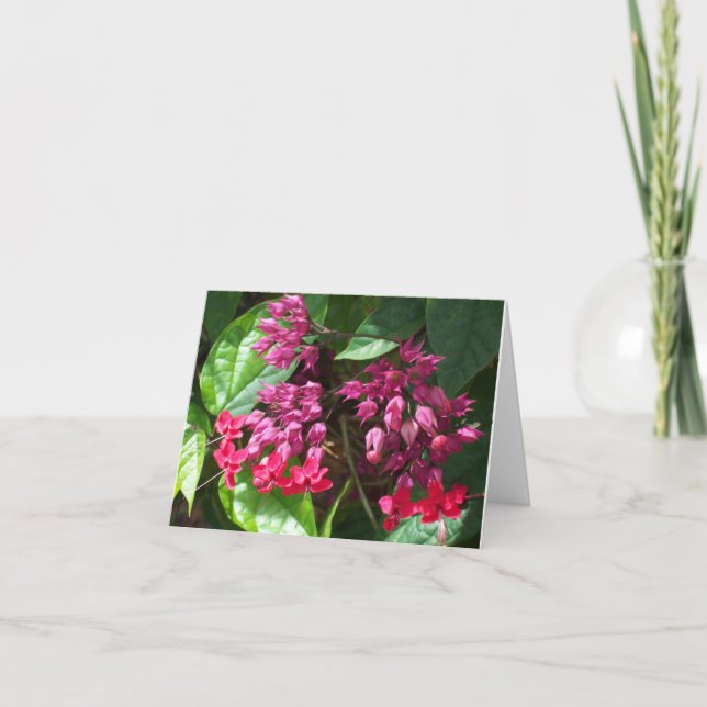 Bleeding Heart Photo Folded Note Card (Front)