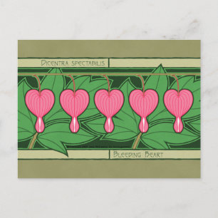 Bleeding Heart Postcard
