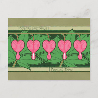 Bleeding Heart Postcard