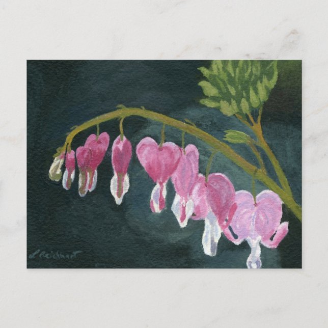 Bleeding Heart Postcard (Front)
