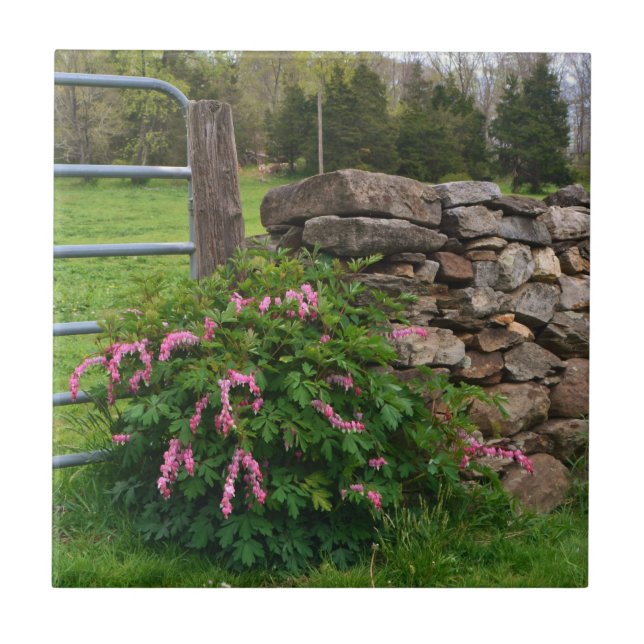 Bleeding Heart Tile (Front)