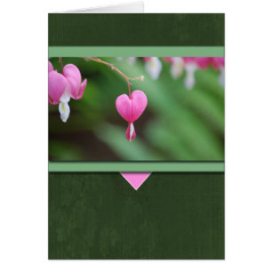 Bleeding Hearts