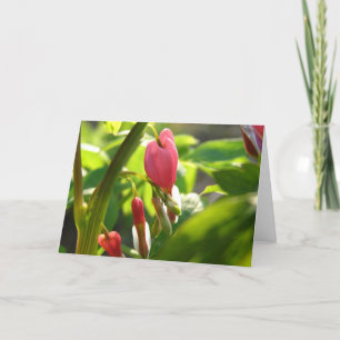 Bleeding Hearts Card