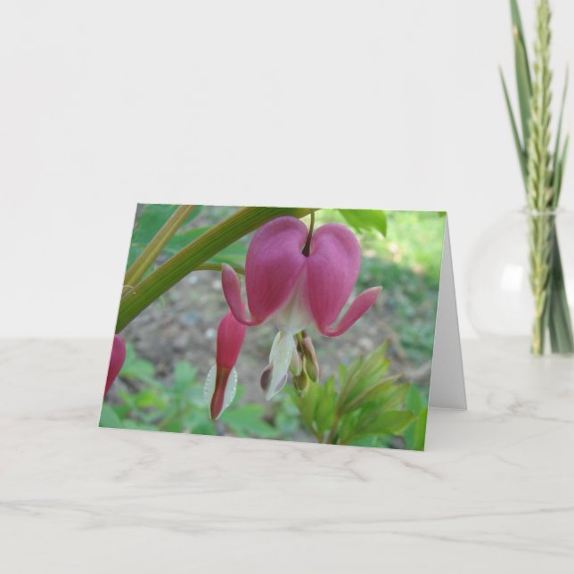 Bleeding Hearts Card (Front)