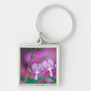 Bleeding Hearts Connecting In Garden. Credit Key Ring