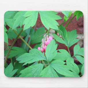 Bleeding Hearts Family Mouse Pad
