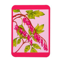 bleeding hearts flowers