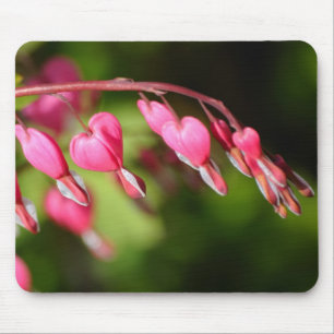 Bleeding hearts flowers on green background mouse pad