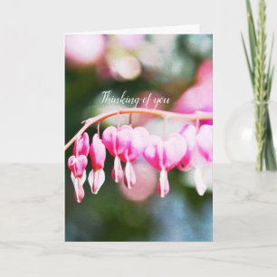 Bleeding Hearts Flowers pink floral photography Card