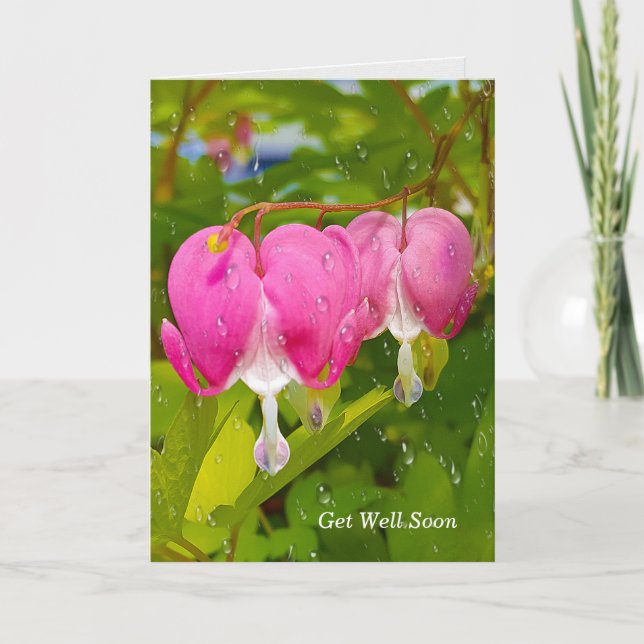 Bleeding Hearts Get Well Soon Card (Front)