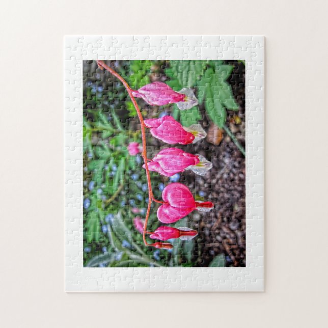 Bleeding Hearts Jigsaw Puzzle (Vertical)