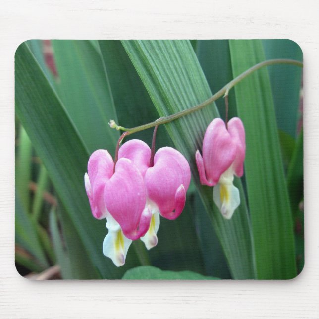 Bleeding Hearts Mouse Pad (Front)