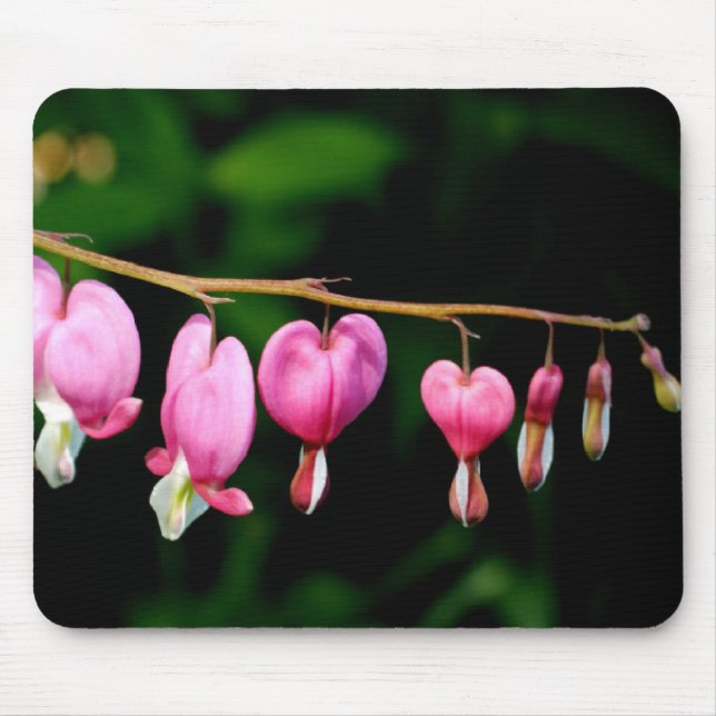 Bleeding Hearts Mouse Pad (Front)