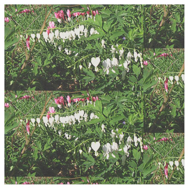 Bleeding Hearts Pink White Photograph Fabric (Close Up)