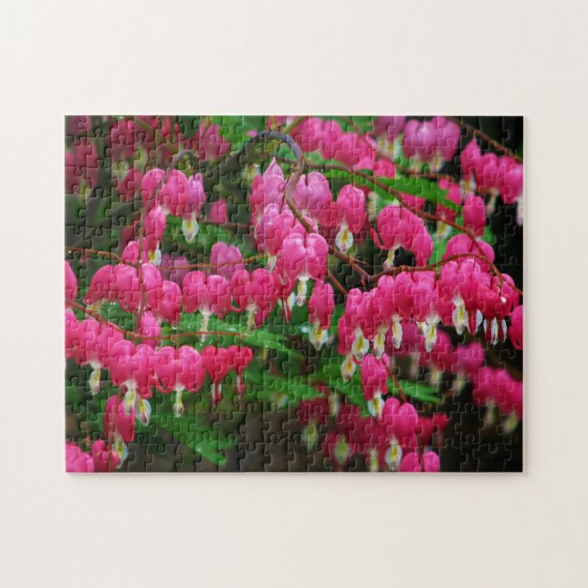 Bleeding Hearts Puzzle (Horizontal)