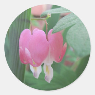Bleeding Hearts~ Two Hearts As One Classic Round Sticker