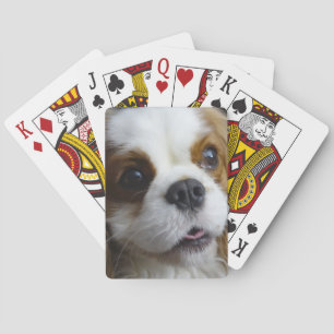 Blenheim Cavalier King Charles Playing Cards
