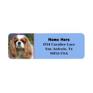 Blenheim Cavalier King Charles Return Address