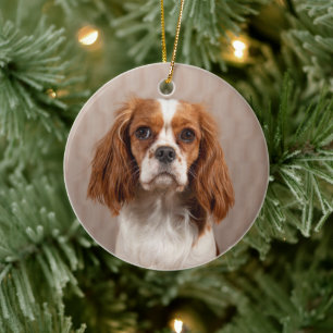Blenheim Cavalier King Charles Spaniel Dog Ceramic Tree Decoration