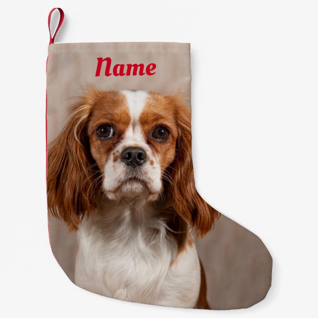 Blenheim Cavalier King Charles Spaniel Dog Small Christmas Stocking (Front)
