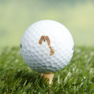 Blenheim Cavalier King Charles Spaniel Golf Balls