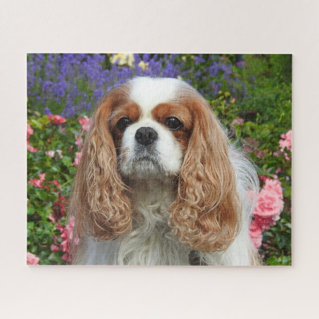 Blenheim Cavalier King Charles Spaniel in Flowers Jigsaw Puzzle (Horizontal)
