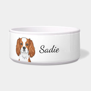 Blenheim Cavalier King Charles Spaniel & Name